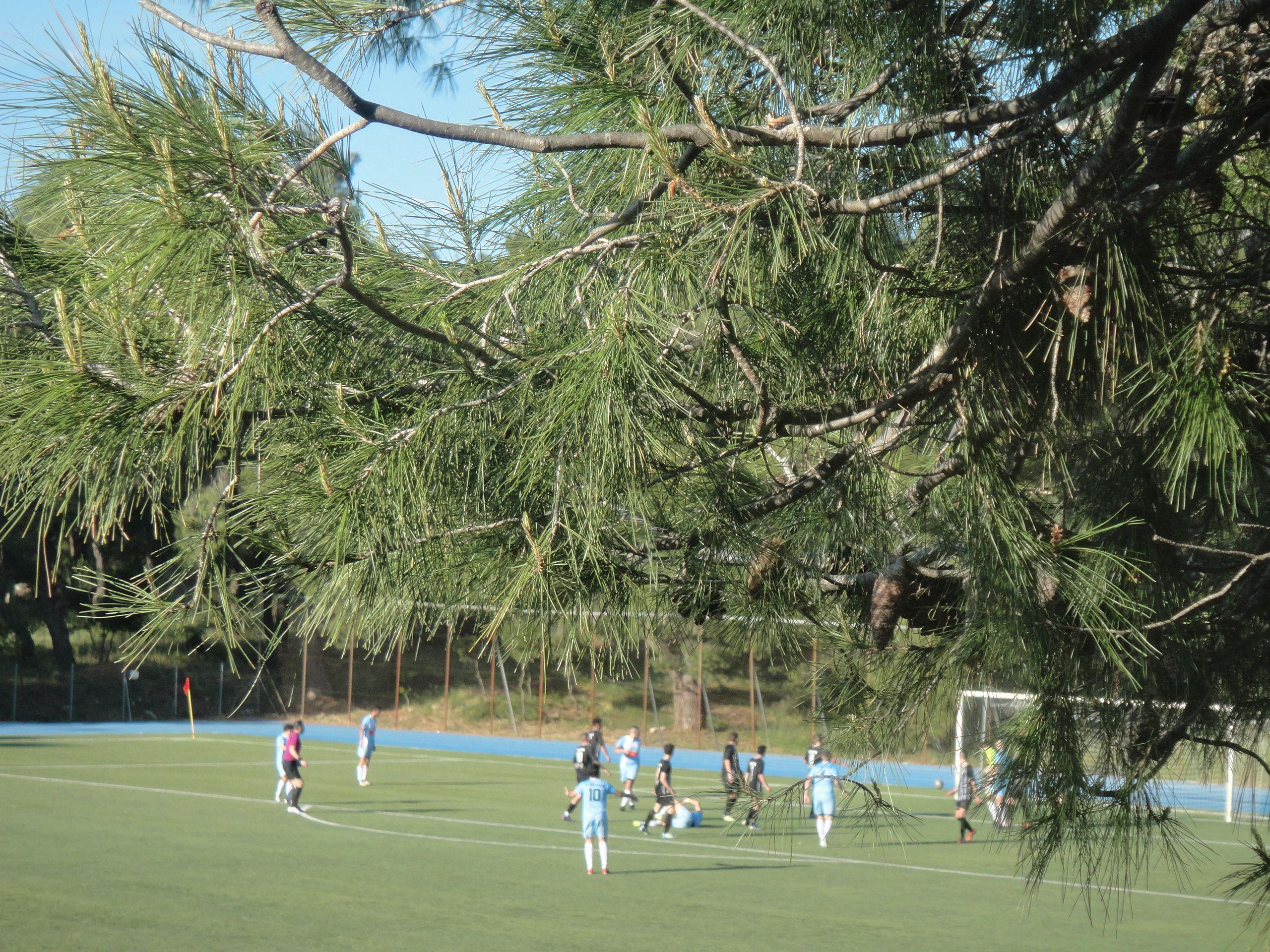 Niki Drosias - PAS Oropos