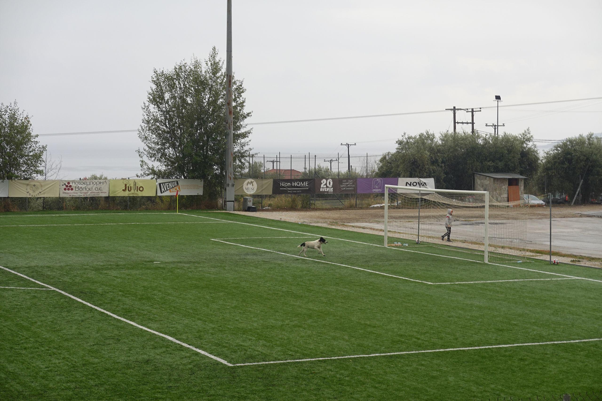 Thiseas Agrias - Sarakinos